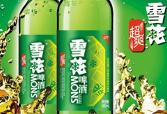 中国啤酒排名前十品牌大全总结