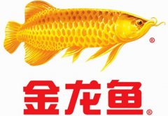 金龙鱼到底是不是中国企业？为什么会入选国家品牌？