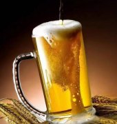 啤酒起源于(啤酒起源于文化)