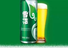 雪花啤酒纯爽576(雪花啤酒纯爽500ml瓶装)