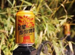 金星新一代啤酒价格(金星啤酒新一代多少钱一瓶)