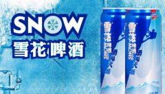 雪花啤酒品牌宣传口号(勇闯天涯啤酒宣传语)