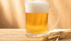 啤酒的浓度是多少好喝？